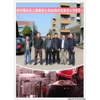 中國(guó)石化工程建設(shè)公司SEI領(lǐng)導(dǎo)來(lái)我公司考察