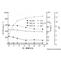 城市污水處理廠(chǎng)污泥臭氧減量技術(shù)
